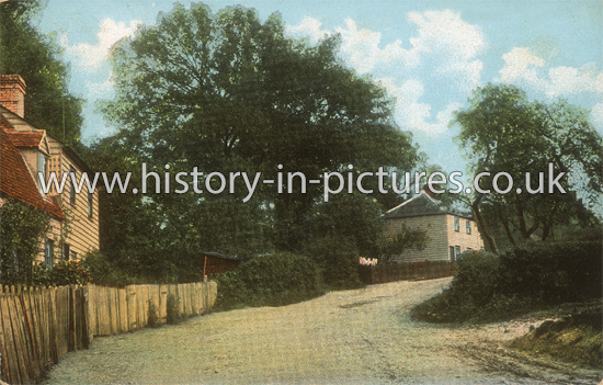 A Country Lane, Little Baddow, Essex. c.1905